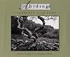 Abiding: Landscape of the Soul