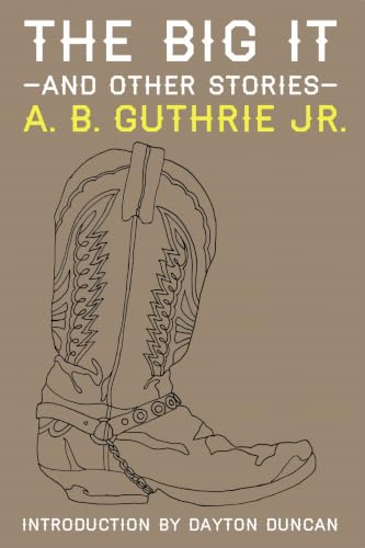 The Big It and Other Stories book cover