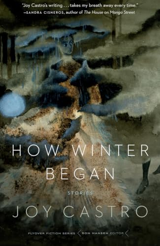 How Winter Began book cover