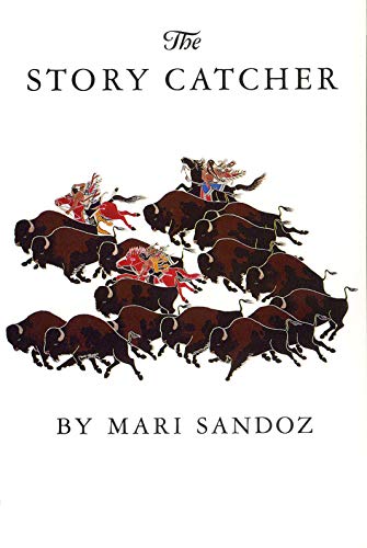 The Story Catcher book cover