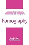 Pornography (Communication Concepts)