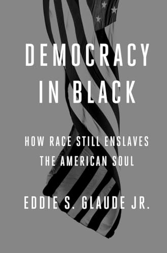 Democracy in Black book cover