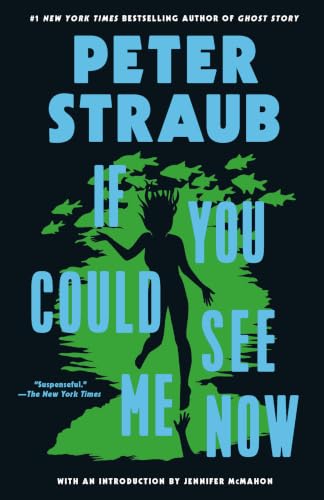 If You Could See Me Now book cover