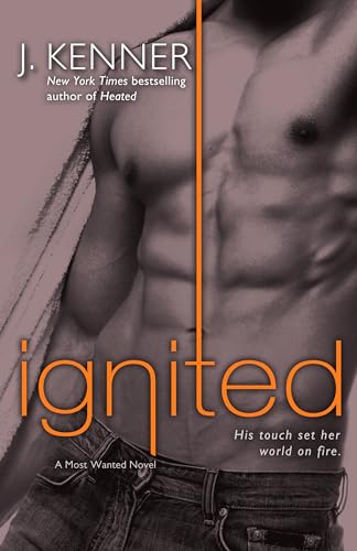 Ignited book cover