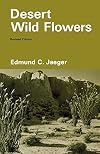 Desert Wild Flowers