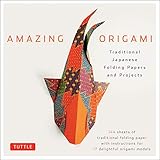 Amazing Origami Kit: Traditional Japanese Folding Papers and Projects [144 Origami Papers with Book, 17 Projects]