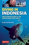 Diving In Indonesia The Ultimate Guide To The Worlds Best Dive Spots Bali Komodo Sulawesi Papua And More