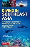 Diving In Southeast Asia The Best Dive Sites In Malaysia Indonesia The Philippines And Thailand