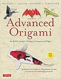 Advanced Origami : An Artist's Guide To Folding Techniques And Paper (1dvd)