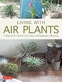 Living With Air Plants A Beginners Guide To Growing And Displaying Tillandsia