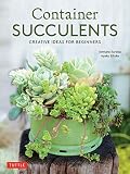 Container Succulents Creative Ideas For Beginners