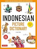 Indonesian Picture Dictionary Learn 1500 Indonesian Words And Expressions Ideal For Ib Exam Prep Includes Online Audio Tuttle Picture Dictionary