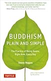 Buddhism Plain And Simple The Practice Of Being Aware Right Now Every Day