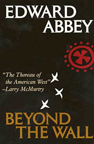 Beyond the Wall book cover