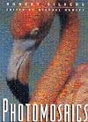 Photomosaics