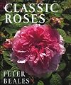 Classic Roses