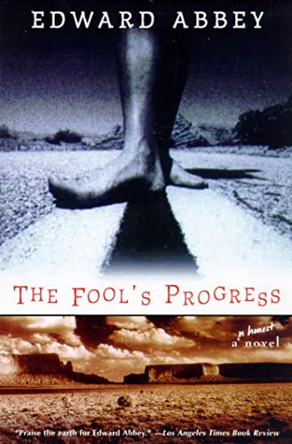 The Fool's Progress book cover