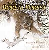 Life in the Boreal Forest