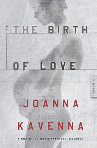 The Birth of Love book cover