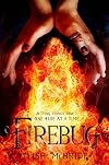 Firebug