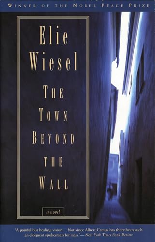 The Town Beyond the Wall book cover