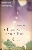 A pigeon and a boy
