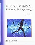 Essentials Of Human Anatomy Physiology