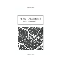 Plant Anatomy