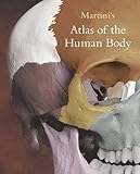 Martinis Atlas Of The Human Body