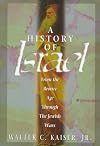 A History of Israel: From the Bronze Age Through the Jewish Wars