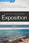 Exalting Jesus in John (Christ-Centered Exposition Commentary)