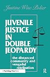 Juvenile justice in double jeopardy : the distanced community and vengeful retribution