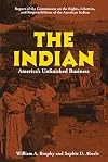 The Indian: Americas Unfinished Business