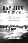 Damming the Reservation: Tribal Sovereignty and Activism at Fort Berthold (Volume 23) (New Directions in Native American Studies Series)