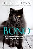 Bono The Amazing Story Of A Rescue Cat Who Inspired A Community