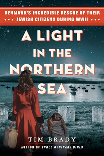 A Light In the Northern Sea : by Brady, Tim