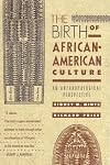 The Birth of African-American Culture: An Anthropological Perspective
