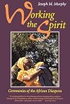 Working the Spirit: Ceremonies of the African Diaspora
