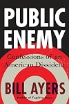 Public Enemy: Confessions of an American Dissident