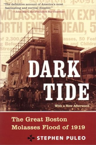 Dark Tide: The Great Boston Molasses Flood of 1919 book cover