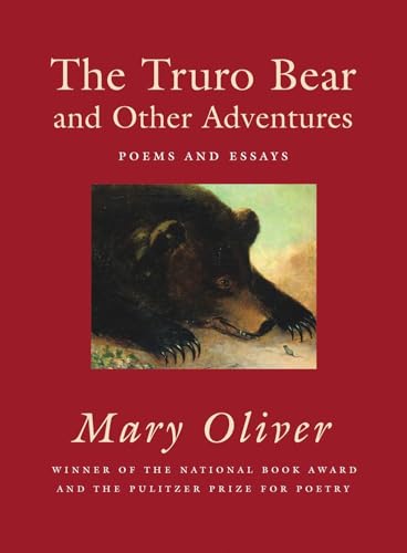 The Truro Bear and Other Adventures book cover