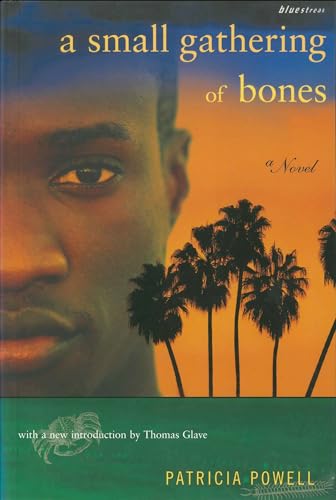 A Small Gathering of Bones book cover