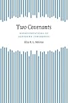 Two Covenants: Representations Of Southern Jewishness (Southern Literary Studies)