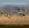 Wings of Paradise: Birds of the Louisiana Wetlands