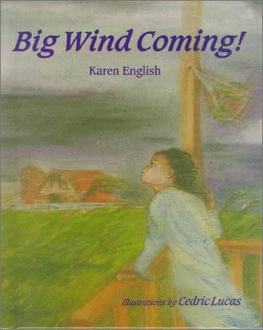 Big Wind Coming! book cover