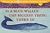 Is a Blue Whale the Biggest Thing There Is?