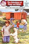 Meet the Boxcar Children