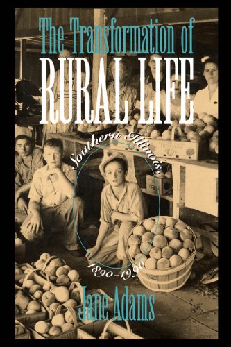The Transformation of Rural Life: Southern Illinios, 1860-1990 cover