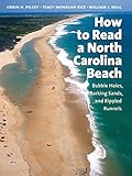 How To Read A North Carolina Beach Bubble Holes Barking Sands And Rippled Runnels Southern Gateways Guides