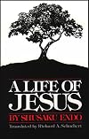A Life of Jesus